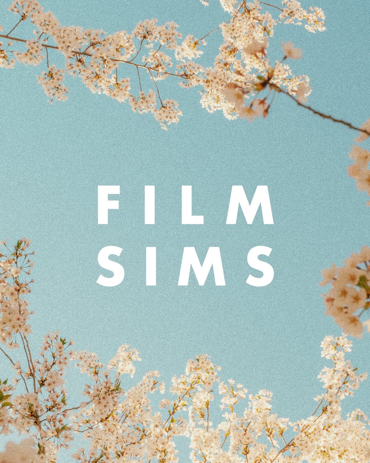 FilmSims