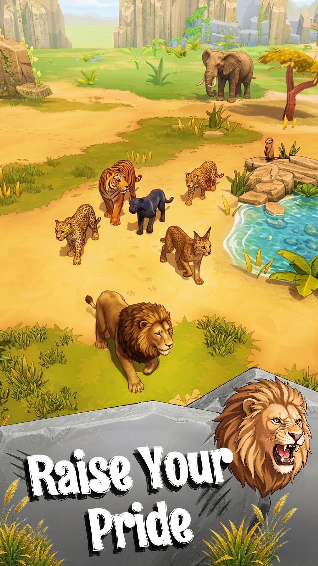 Safari Universe