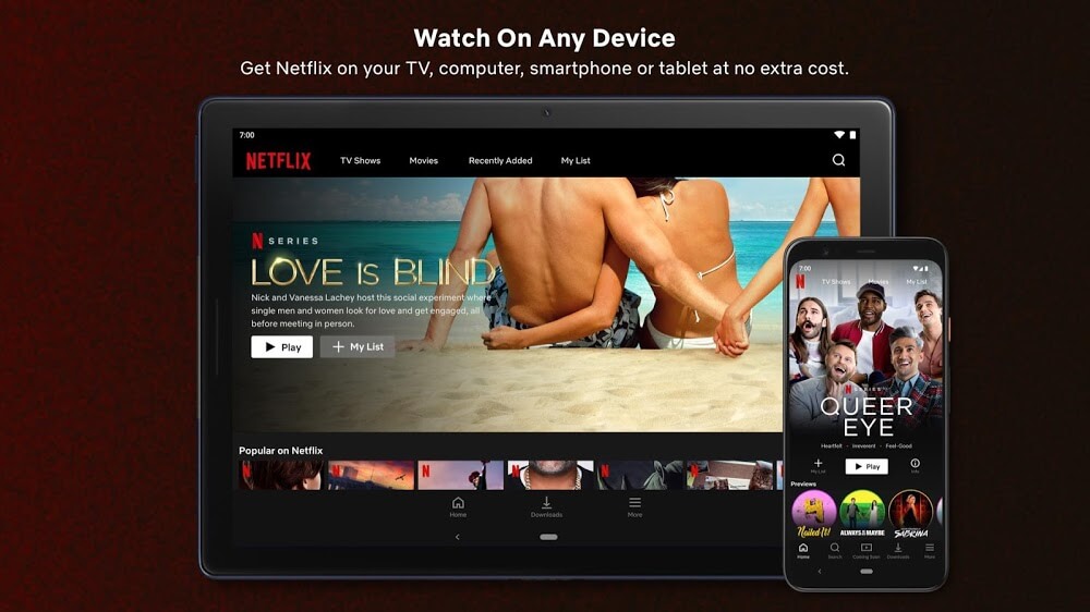 Netflix Apk + MOD v8.97.3 build 19 50576 (4K/Premium)