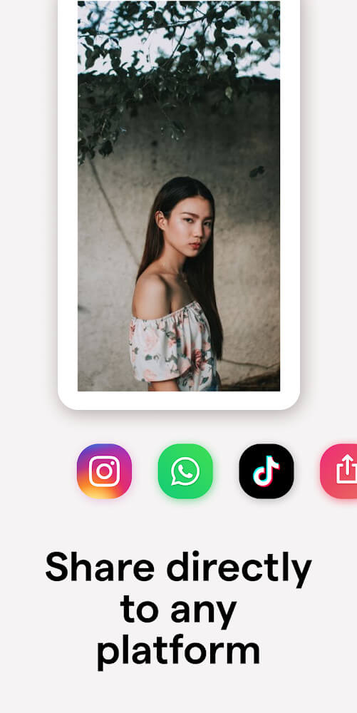 mojo – Create animated Stories for Instagram