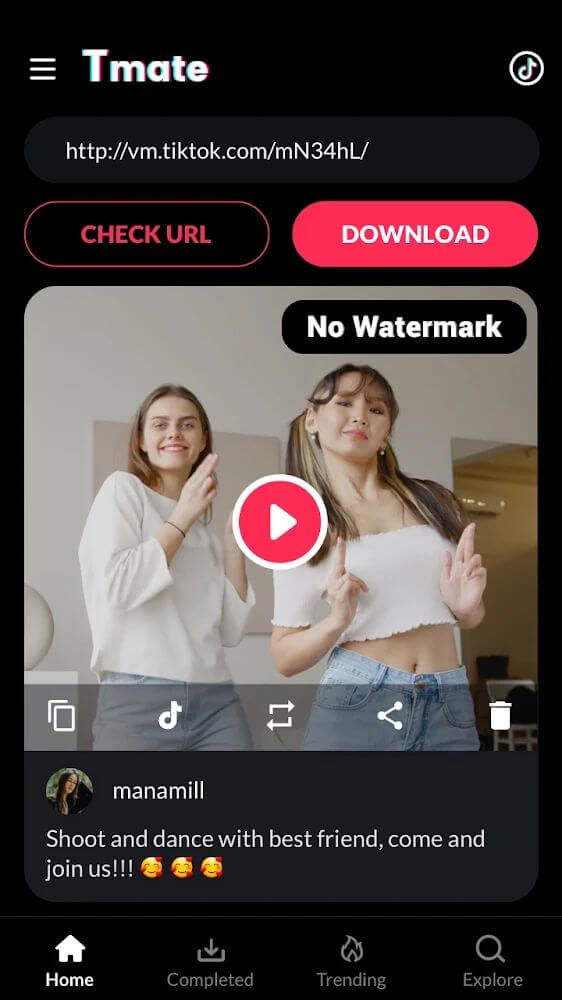 Video Downloader for TikTok No Watermark – Tmate
