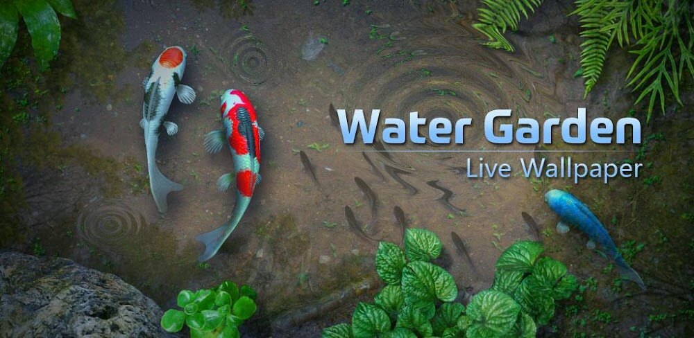 Water Garden Live Wallpaper  APK + MOD (Unlocked) Download