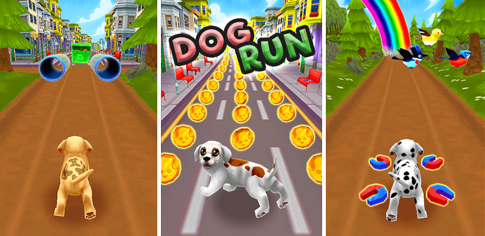 Dog Run