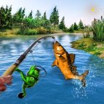 Fishing Village: Fishing Games