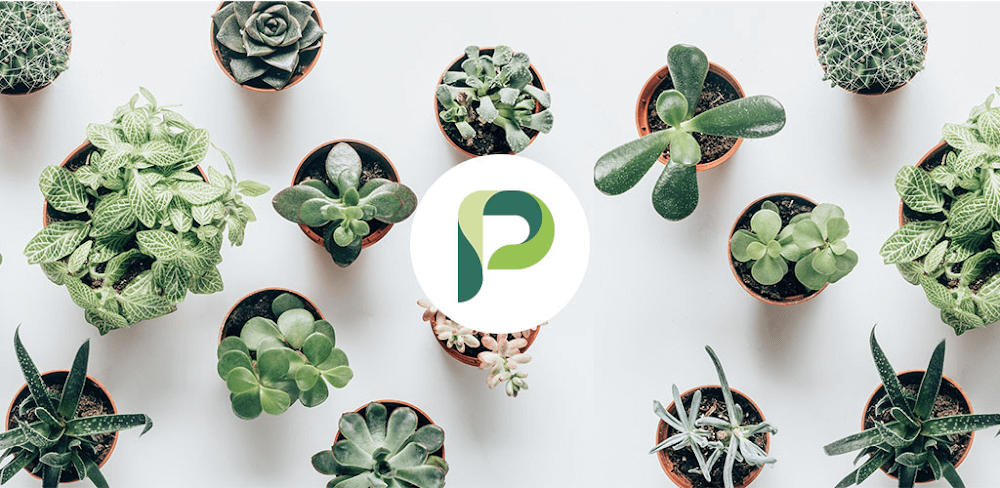 Planta – Care for your plants