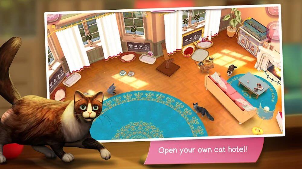 CatHotel – play with cute cats