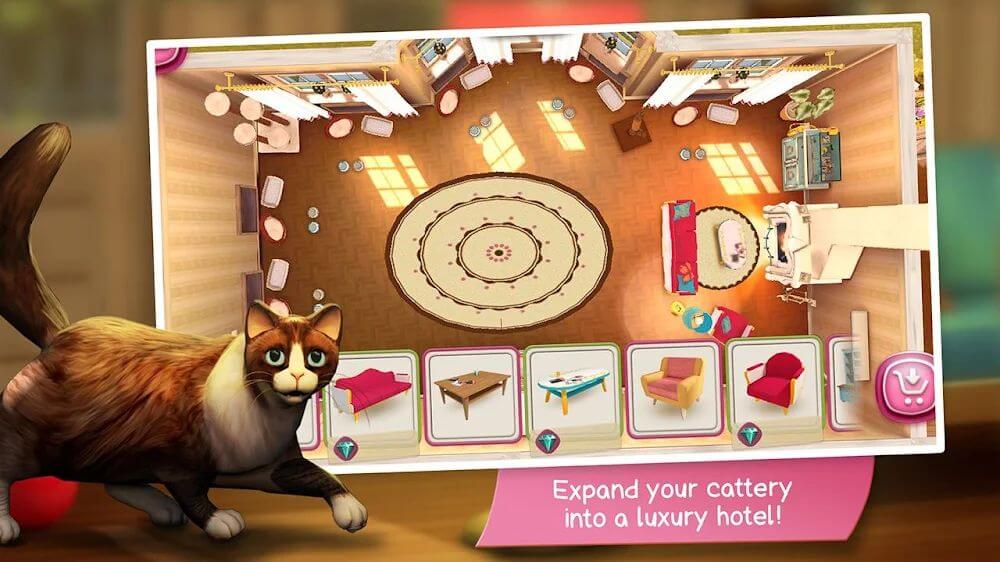 CatHotel – play with cute cats