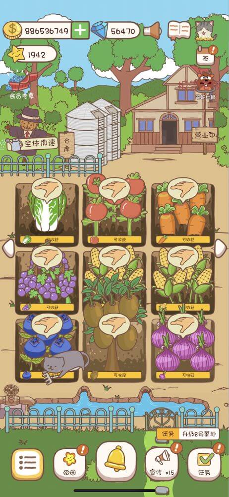 Pocket Vegetable Garden