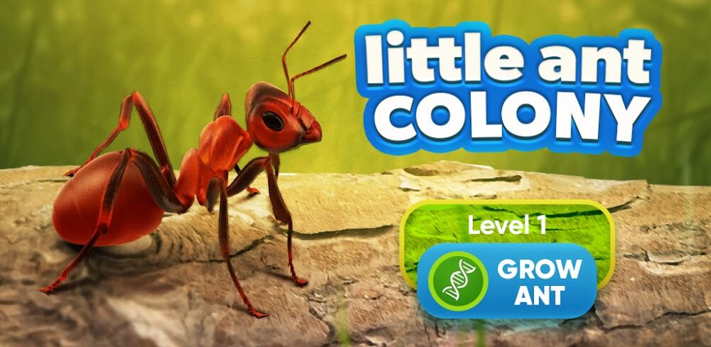 Little Ant Colony