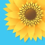 Gallery – Hide Photos & Videos