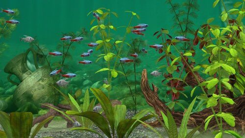 Fish Farm 3 – Aquarium