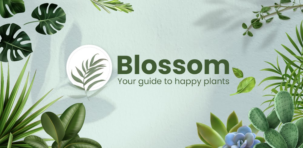 Blossom – Plant Identifier