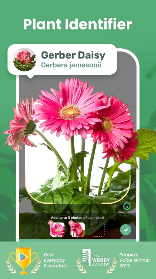 Blossom – Plant Identifier