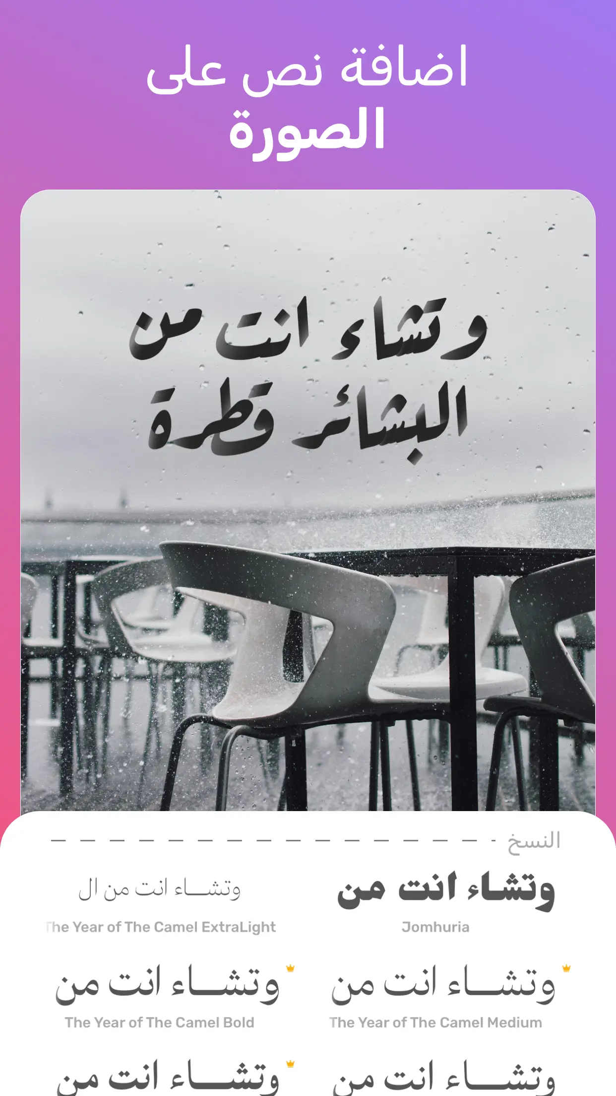 Andalusi: Design Photo & Video