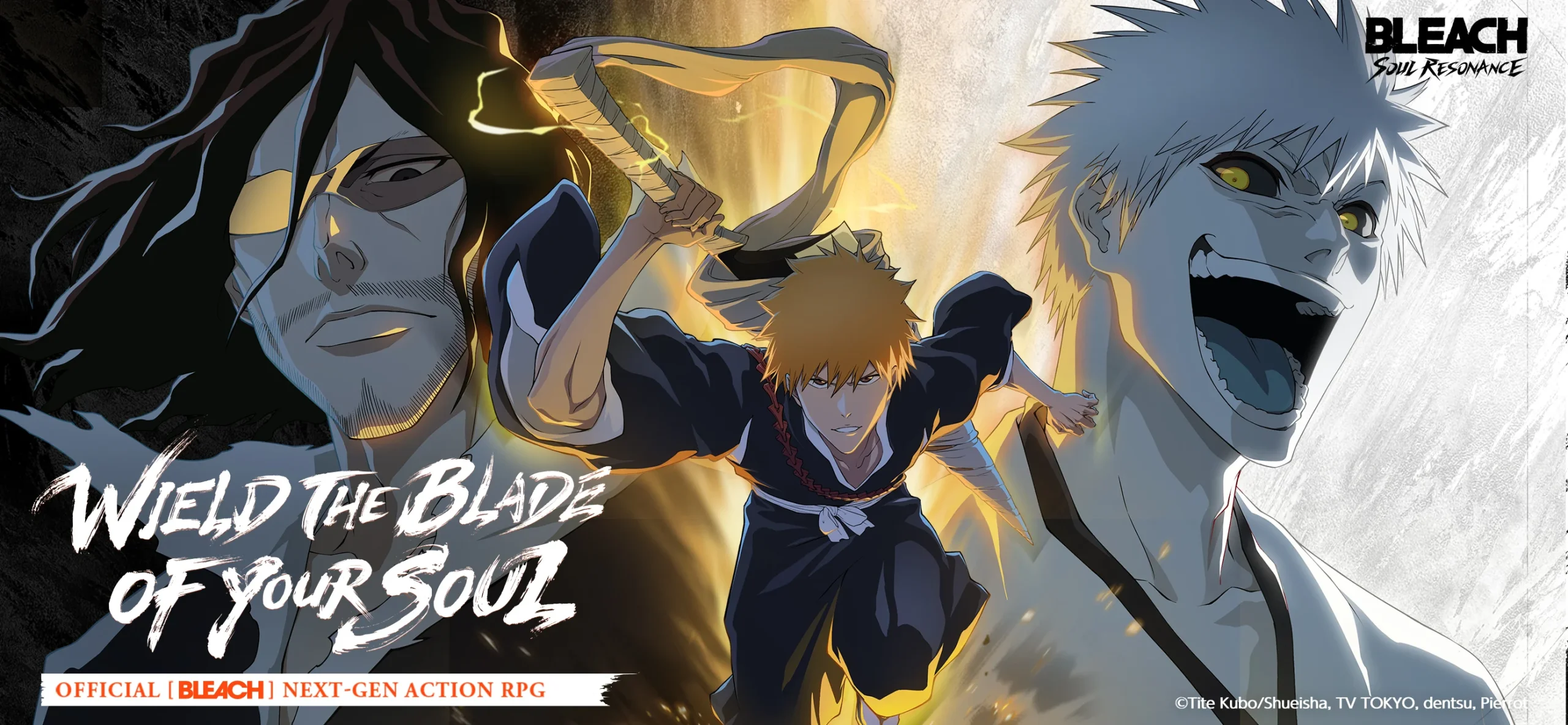 BLEACH: Soul Resonance