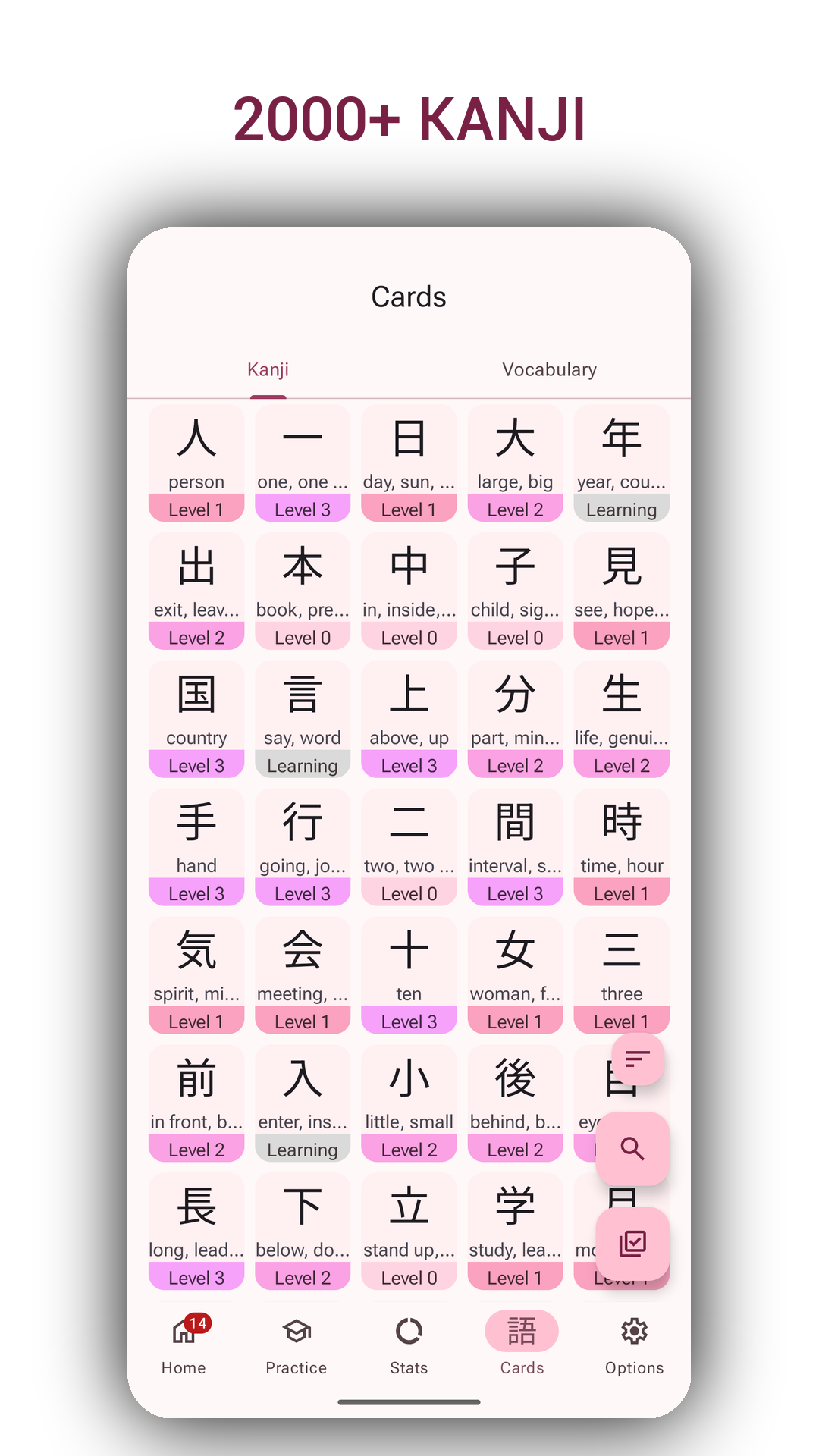 Japanese Writing Kanji Blossom