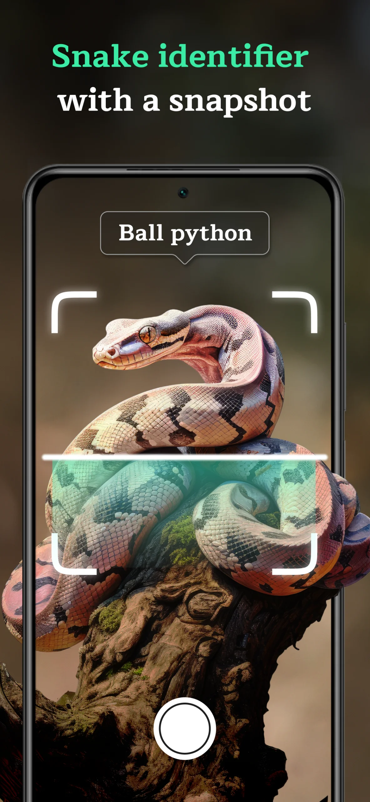Snake Identifier AI Scanner