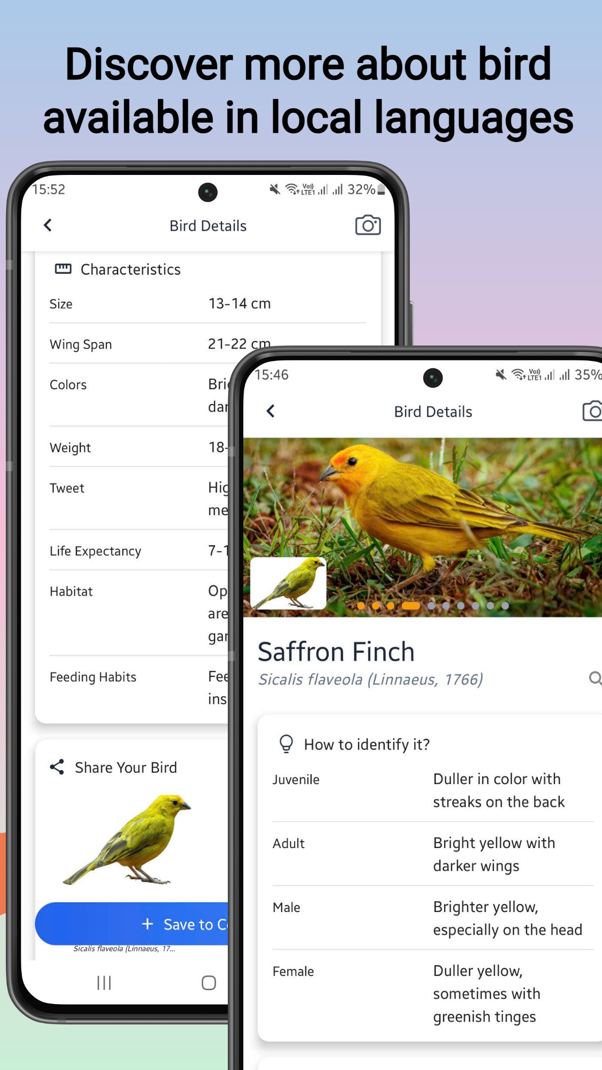 Bird identifier