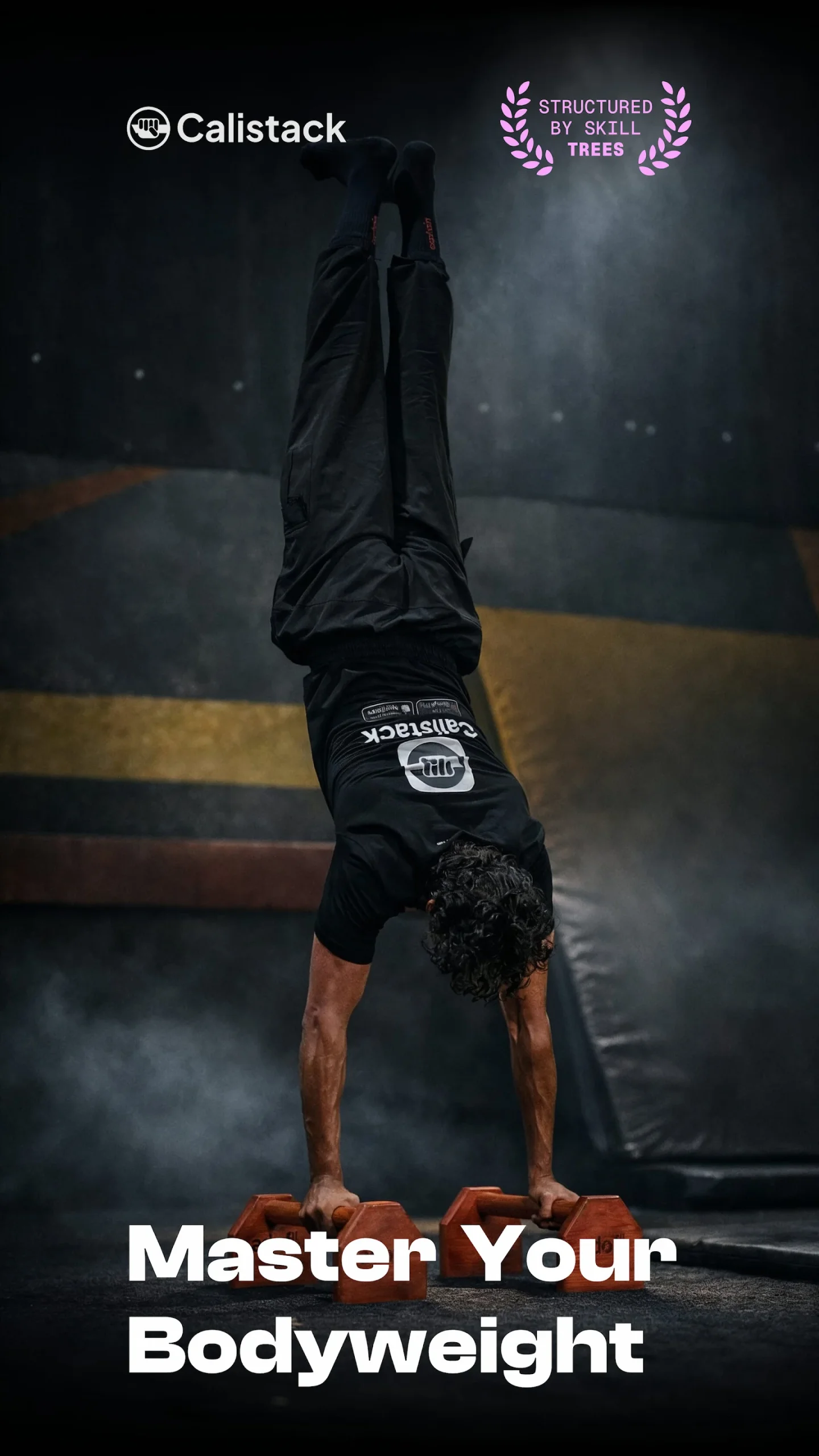 Calistack: Calisthenics Skills