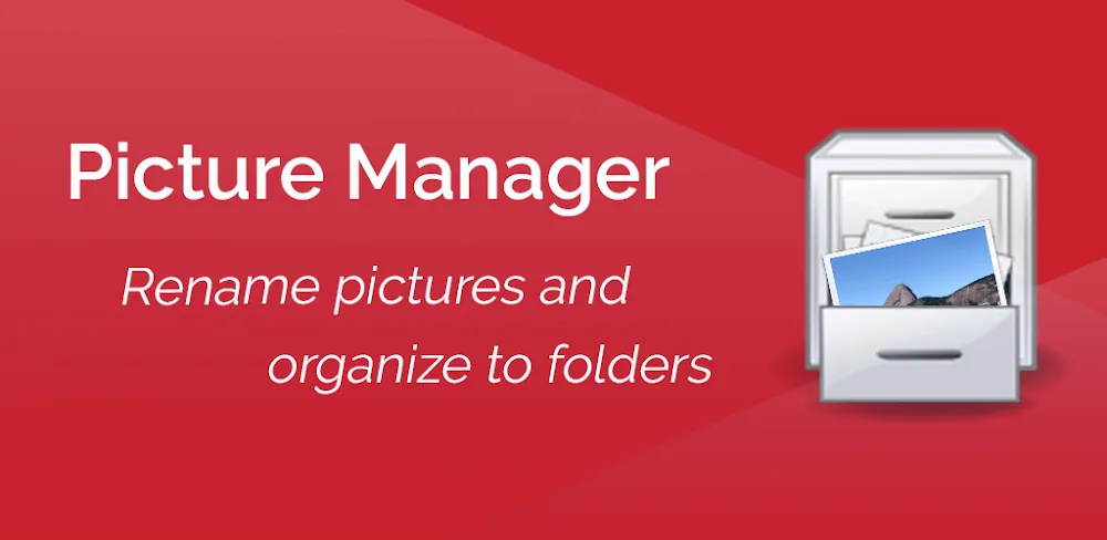 Batch Rename and Organize