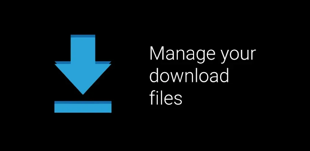 Download manager