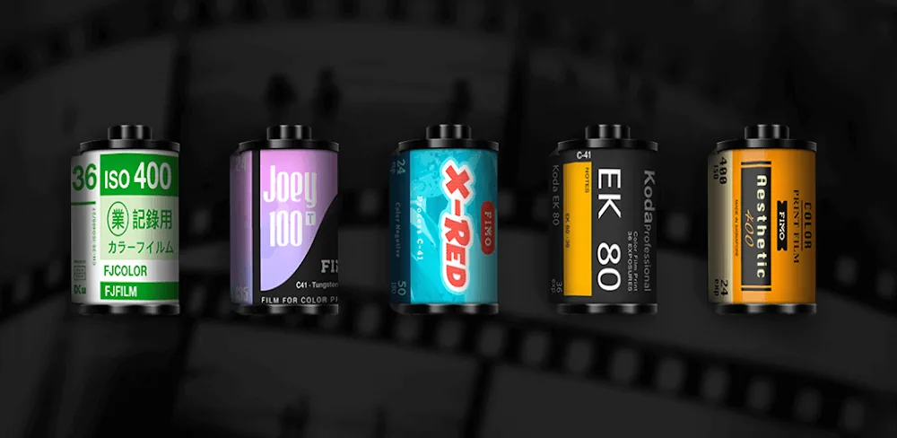 FIMO – Analog Camera