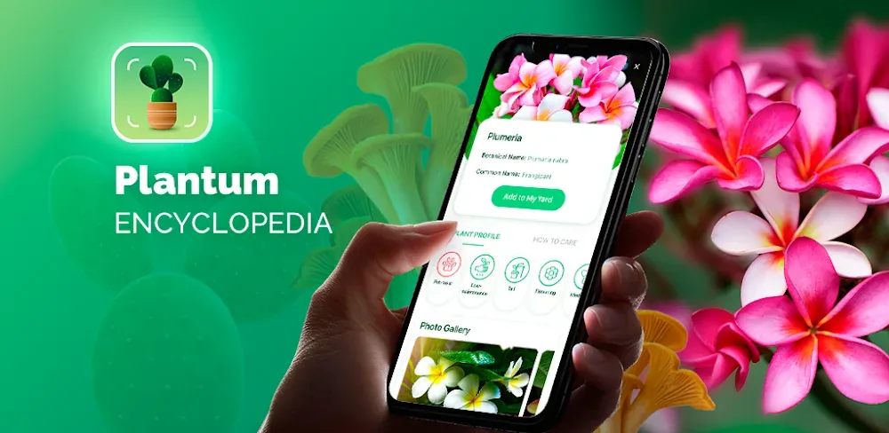 Plantum