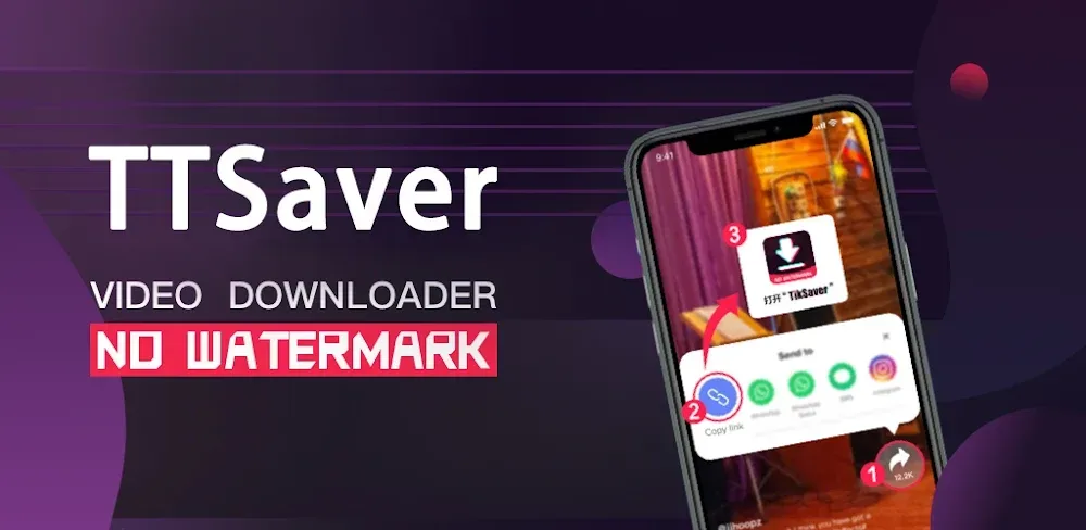 TikSaver