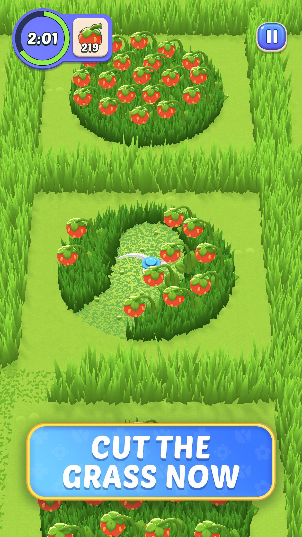 Grass Master – Cutting Game
