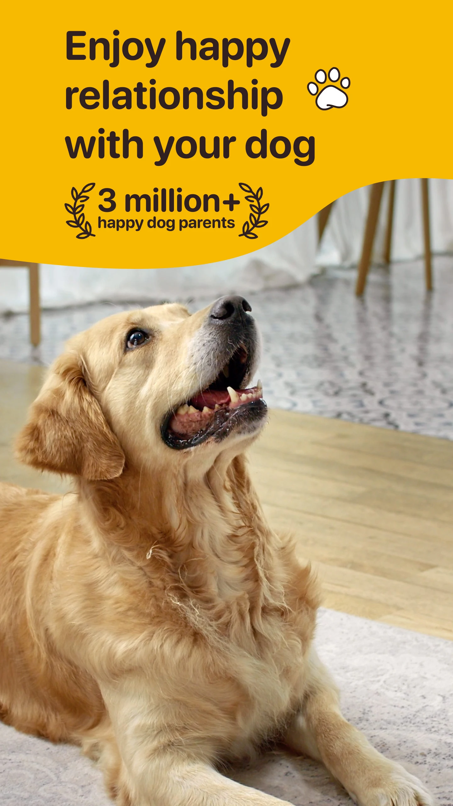 Woofz – Puppy and Dog Training