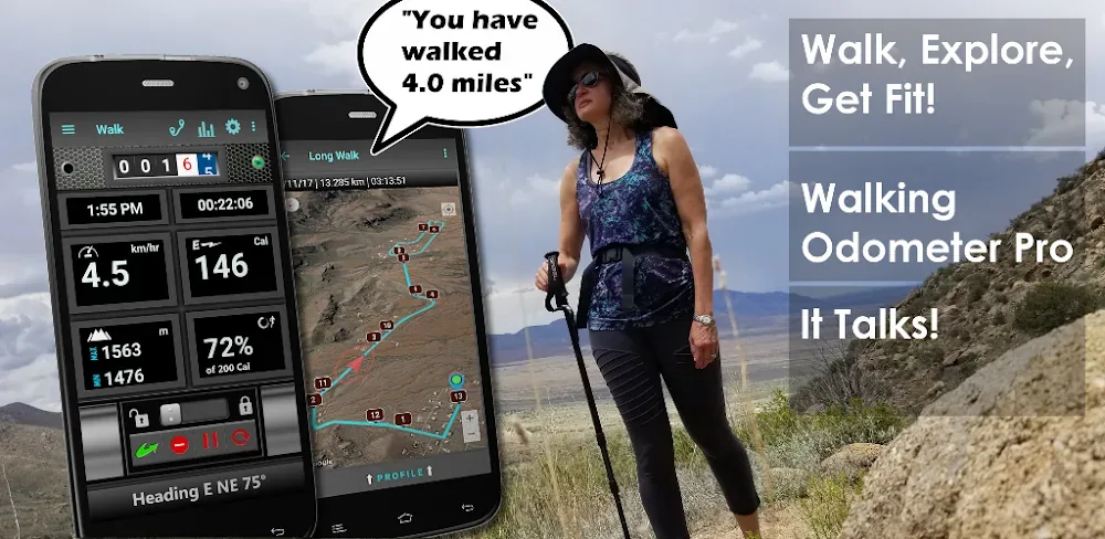 Walking Odometer Pro