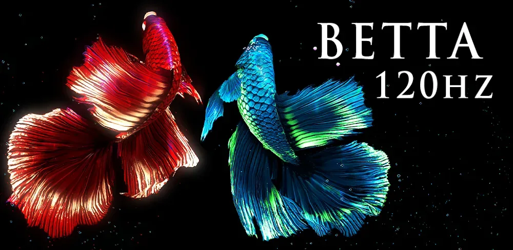 BETTA 120HZ