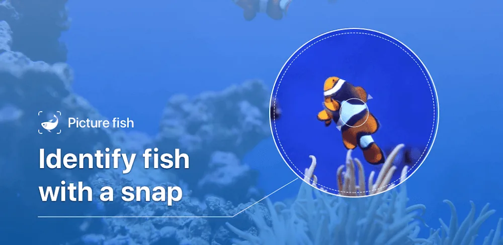 Picture Fish – Fish Identifier