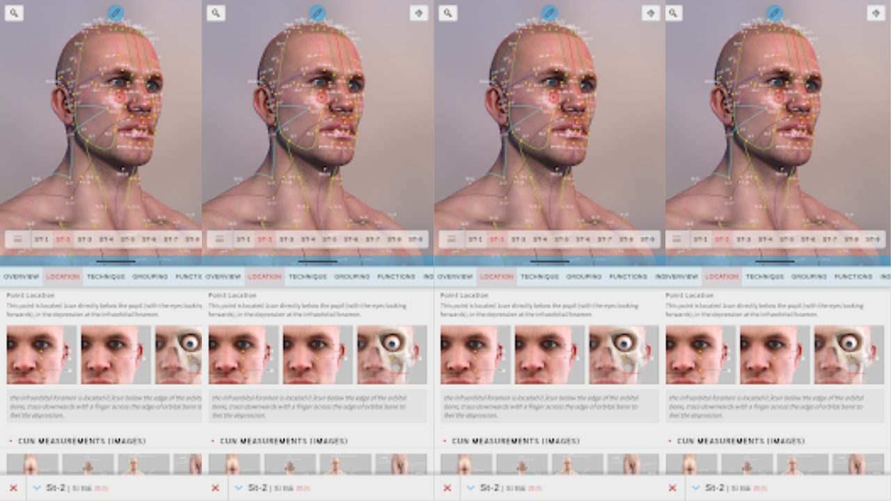 Acupunture Atlas 3D